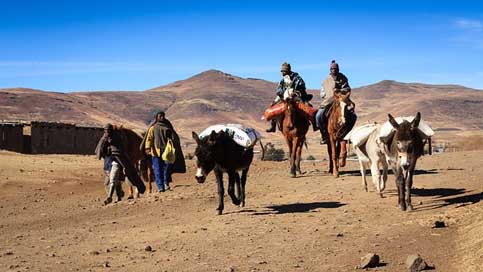 Landscape Donkeys Peasants Mountains Picture