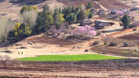 Lesotho Spring Landscape Settlement Picture