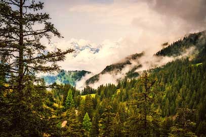 Liechtenstein Trees Forest Mountains Picture