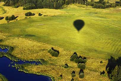Green Bird'S-Flight Air-Balloon Nature Picture