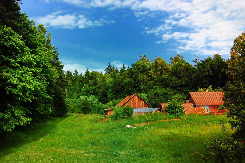 Tourism Green Summer Picture - Free Lithuania Photos