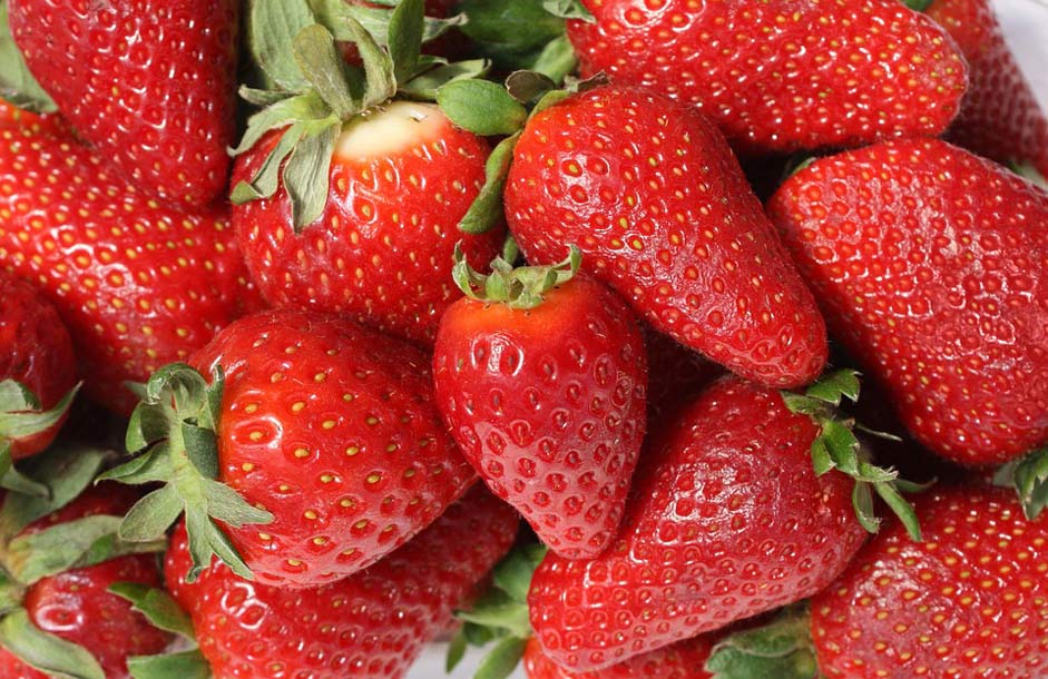 Red Mature Fruit Strawberries
