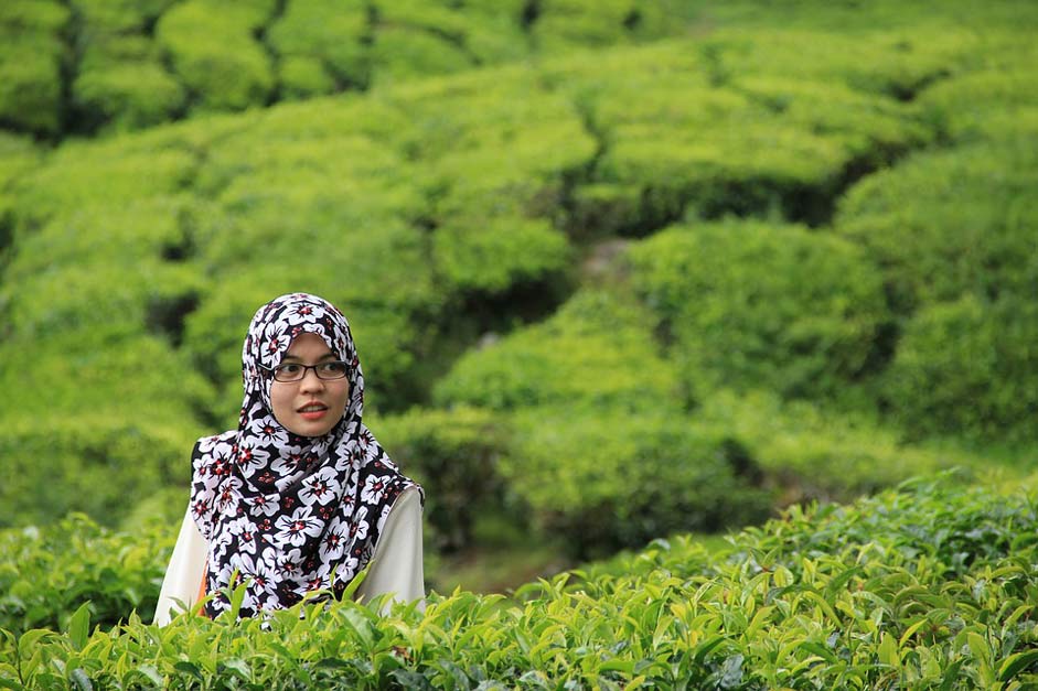 Young Hijab Woman Tea