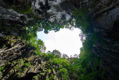 Cave Asian Tree Nature Picture