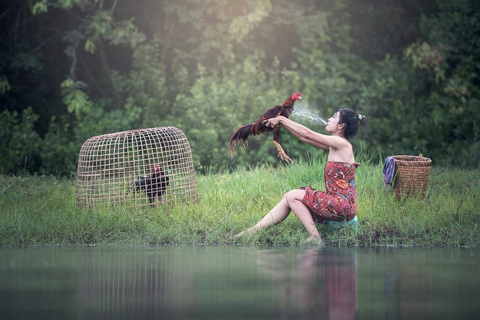 Animals The-Bath River Woman