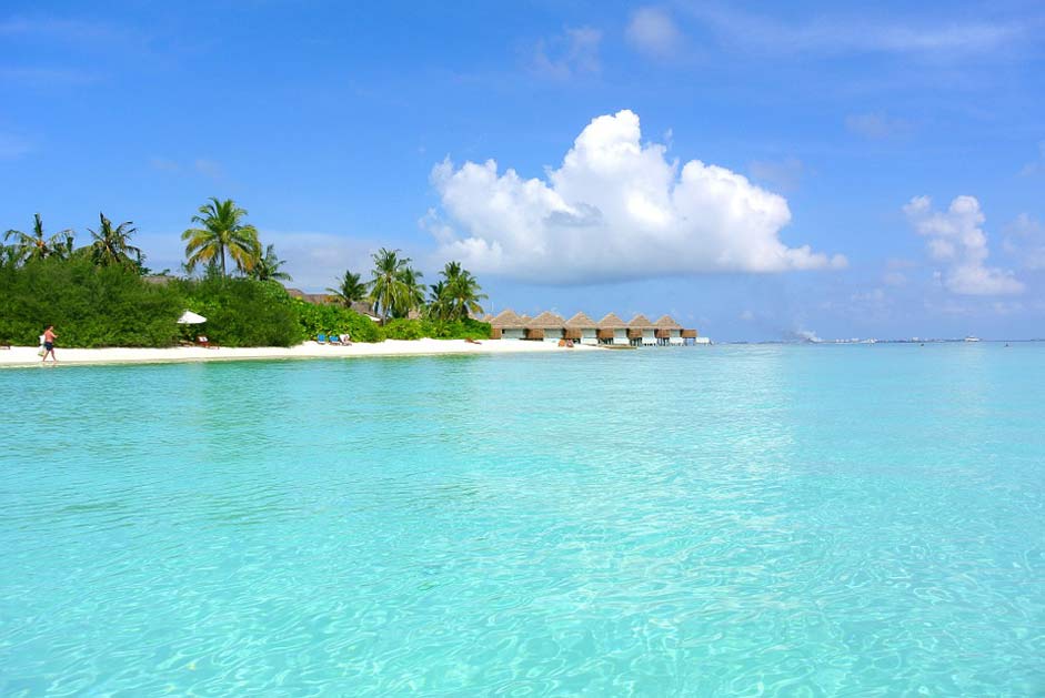 Resort Sea Coconut-Tree Maldives