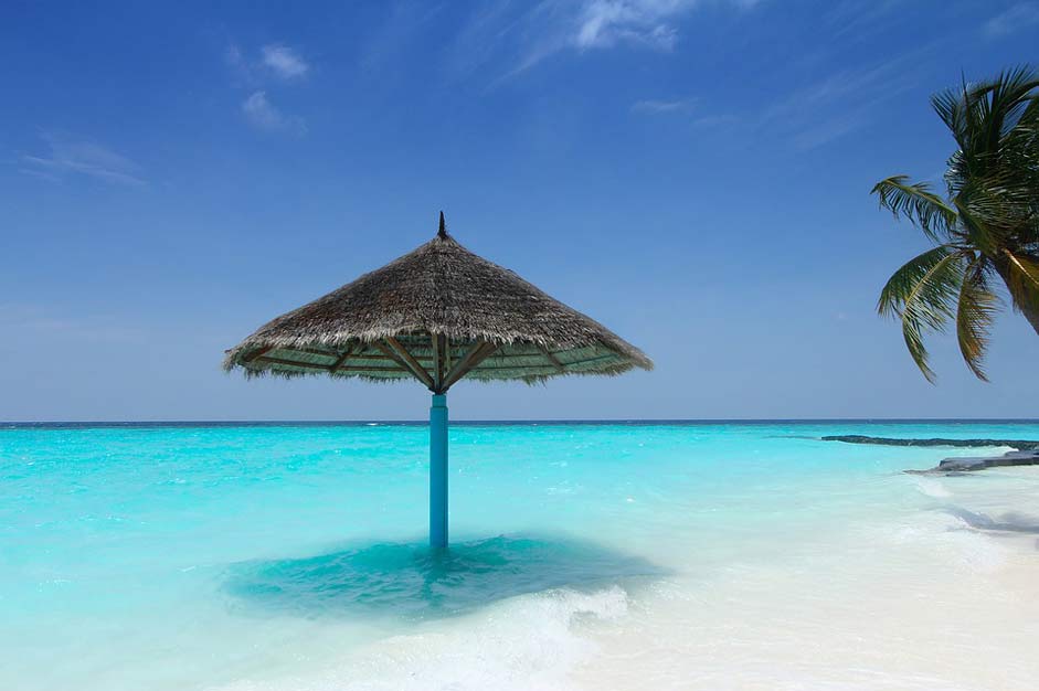 Summer Beach Palm-Trees Maldives