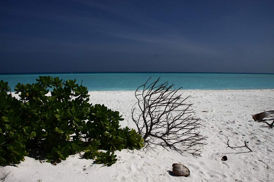 Beach Sea Water Maldives
