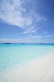 Maldives Summer Emerald-Sea Beach Picture
