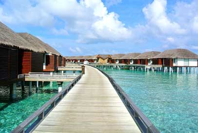 Maldives Vocation Holiday Beach Picture