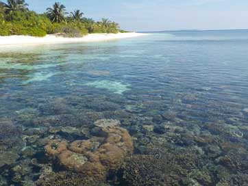 Island Maldives Beach Water Picture