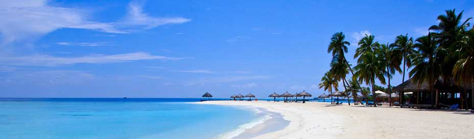 Maldives Tropical-Beach Tropical Beach Picture