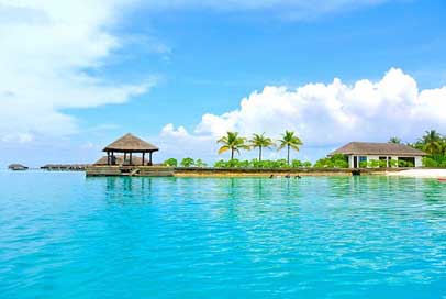 Maldives Resort Sea Coconut-Tree Picture