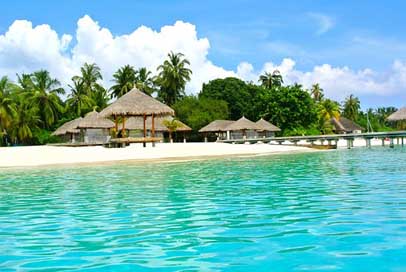 Maldives Resort Sea Coconut-Tree Picture