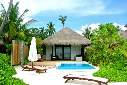 Maldives Resort Sea Coconut-Tree Picture