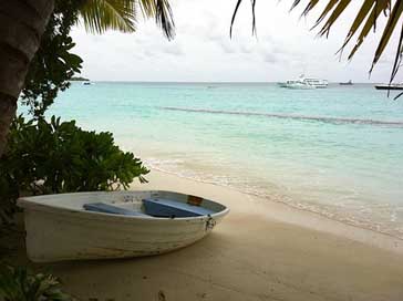 Maldives  Beach Landscape Picture