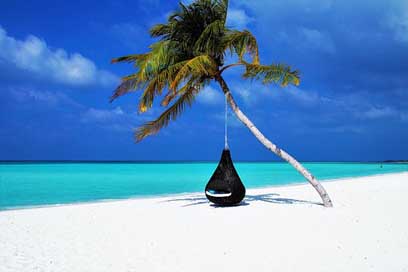 Maldives Beach Hammock Palm-Tree Picture