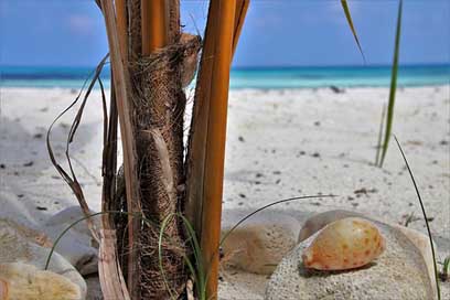Maldives The-Sun Ocean Sand Picture
