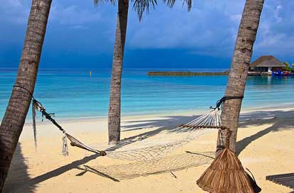 Beach Sea Tropical Hammock Picture