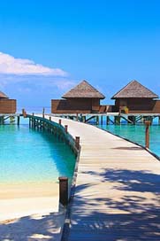 Veligandu-Island Island Ocean Maldives Picture