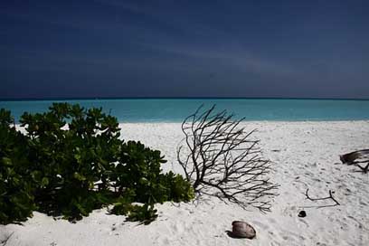 Maldives Beach Sea Water Picture