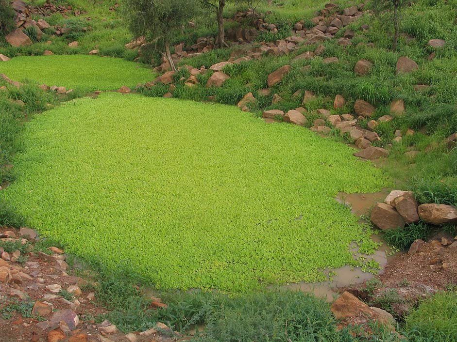  Mali African-Landscape Africa