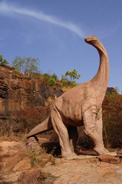 Sky Bamako Mali Dinosaur