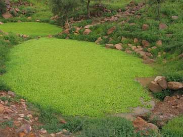 Africa  Mali African-Landscape Picture