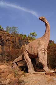 Dinosaur Sky Bamako Mali Picture