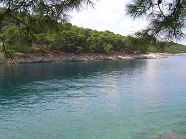 Croatia Coastline Losinj-Island Mali-Losinj Picture