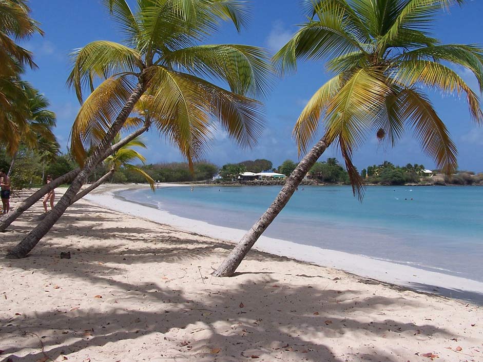 French Caribbean Martinique Beach