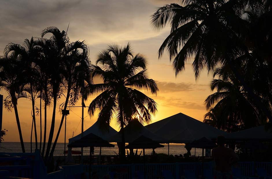 Palm-Trees Sunset Martinique Landscape
