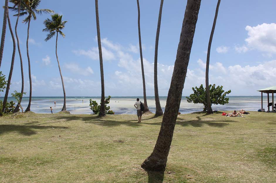 Sea Ocean Beach Martinique