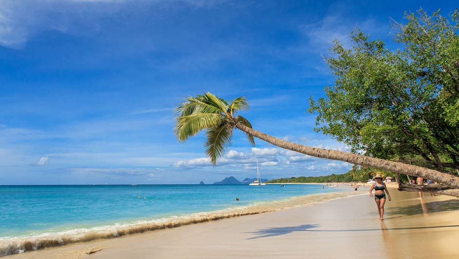 Beach Island Caribbean Martinique