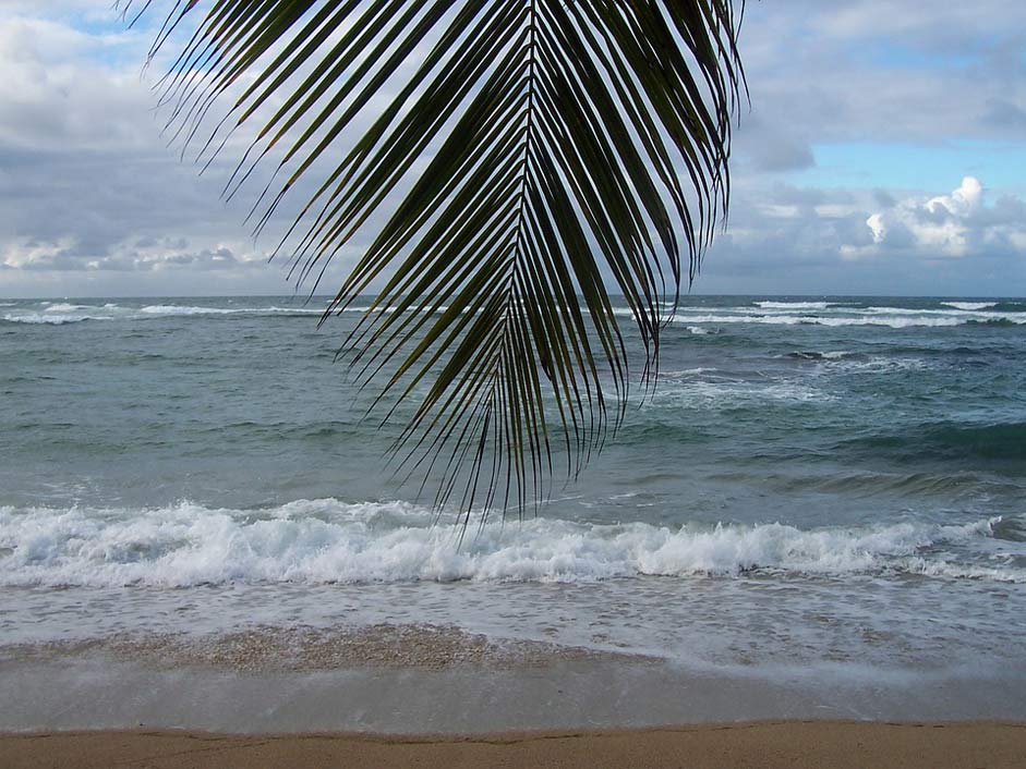 Island Caribbean Sea Martinique