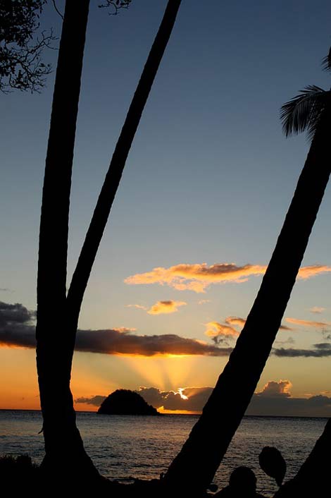 Landscape Beach Sunset Martinique
