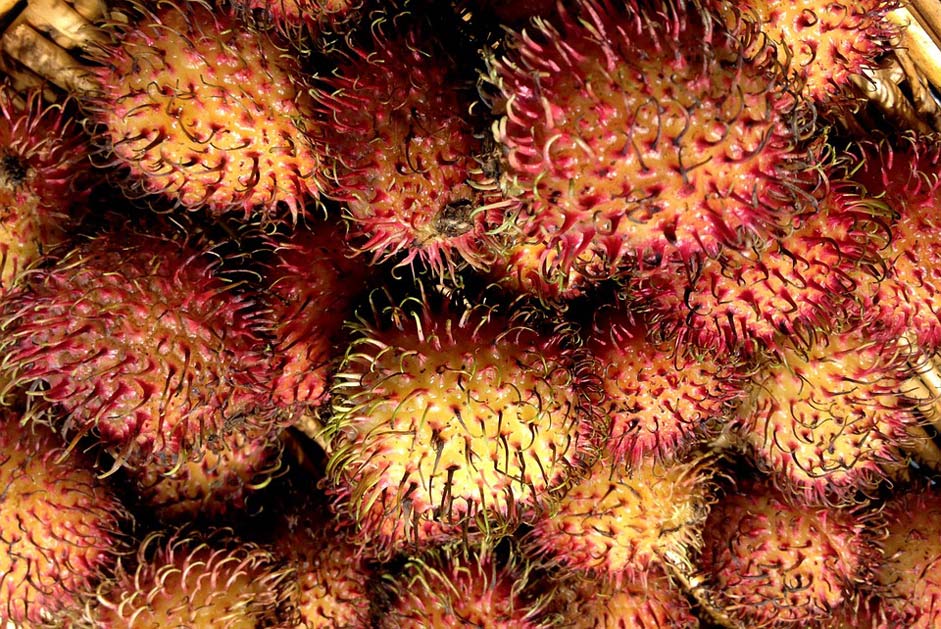 Exotic-Fruits Fruit Hairy-Litchi Rambutan