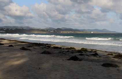 Martinique Ocean Sky Beach Picture