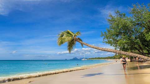 Martinique Beach Island Caribbean Picture