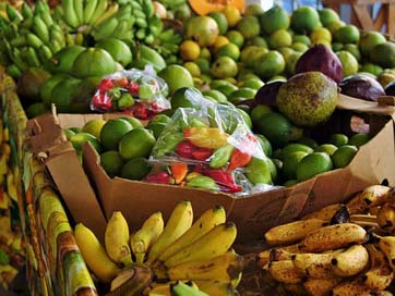 Spices Martinique Caribbean Bananas Picture