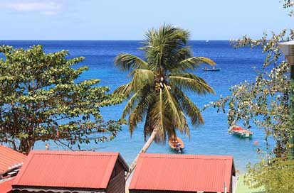 Martinique Landscape Beach Island Picture