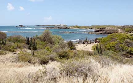 Martinique Nature Caribbean Island Picture