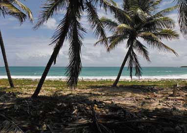 Martinique Sea Holiday Island Picture
