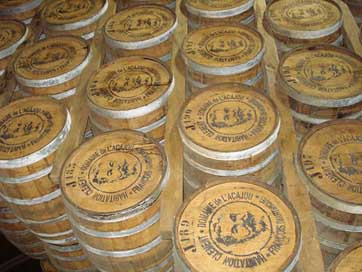 Martinique  Wooden-Barrels Rhumerie Picture