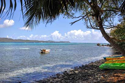 Martinique Landscape Sun Travel Picture