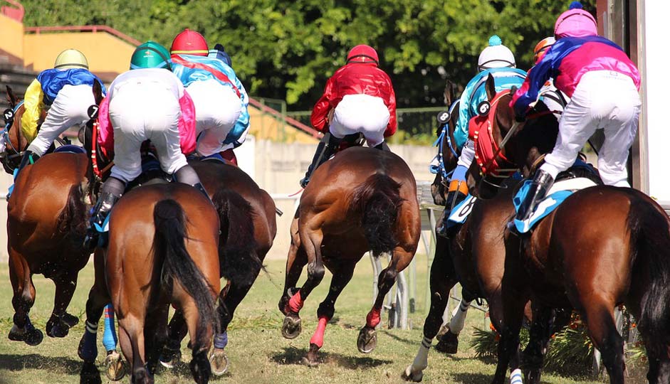Mauritius Jockey Horse Horse-Racing