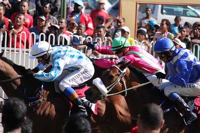 Horse-Racing Mauritius Horse Jockey Picture