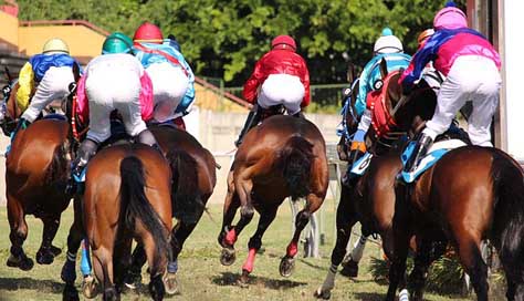 Horse-Racing Mauritius Jockey Horse Picture