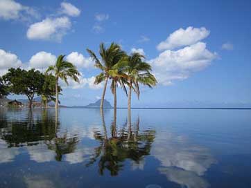 Mauritius Sea Palm-Trees Pool Picture