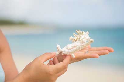 Coral Ease Sea Hand Picture